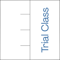 Insight Session & Trial Class Bundle