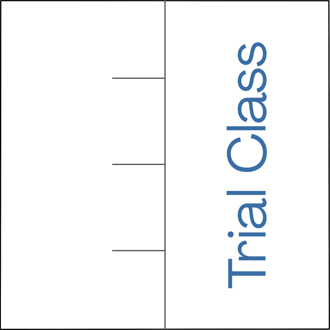 Insight Session & Trial Class Bundle